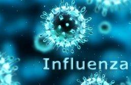 Sajtóközlemény az influenza helyzetéről