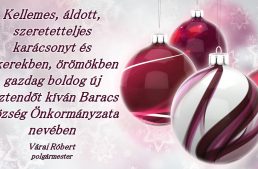 Áldott karácsonyi ünnepeket, boldog új évet!