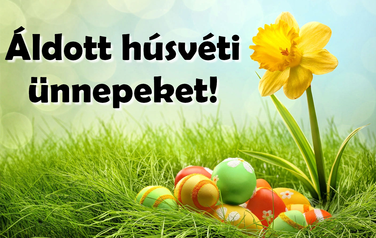 Áldott húsvétot kívánunk