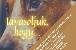 Október 4. – Állatok Világnapja – Állatvédelem napja