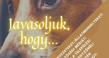 Október 4. – Állatok Világnapja – Állatvédelem napja