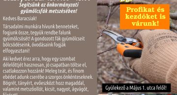 Metszés szombat