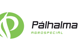 Álláshirdetés