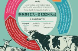 Ragadós száj-és körömfájás betegség
