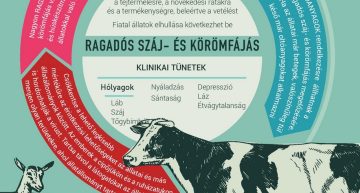 Ragadós száj-és körömfájás betegség