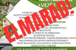 Tavaszi nagytakarítás – elmarad