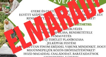 Tavaszi nagytakarítás – elmarad