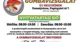 Gombavizsgálat
