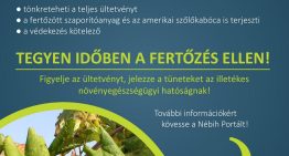 Tájékoztató a szőlő aranyszínű sárgaság betegségről